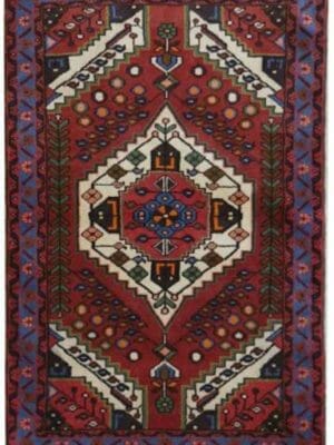 Tappeto Persiano Hamedan 7619